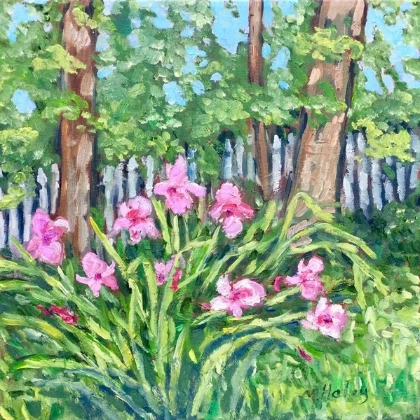 Pink Irises