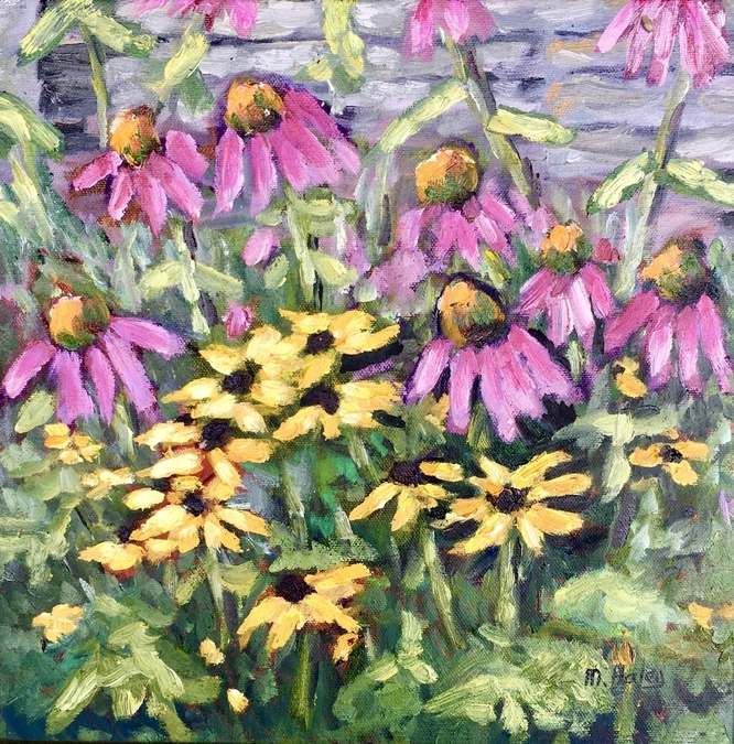 Cone Flowers and Black Eyed Susans