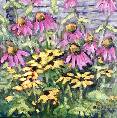 Cone Flowers and Black Eyed Susans