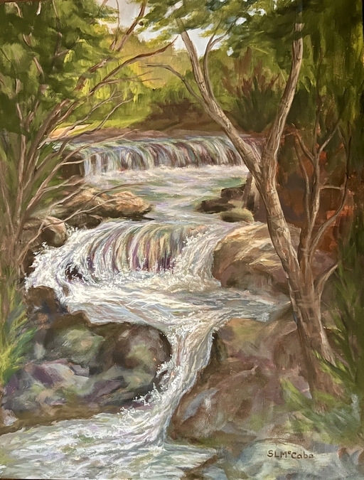 Trout Stream