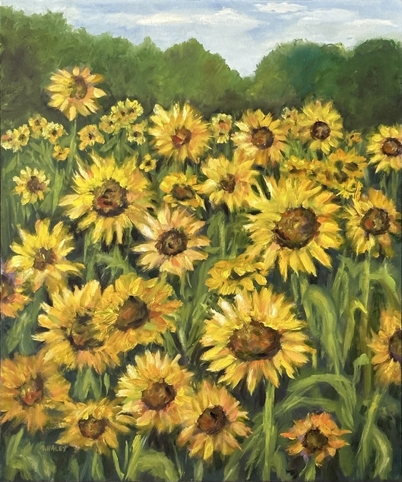 Crump Farm Sunflowers #2