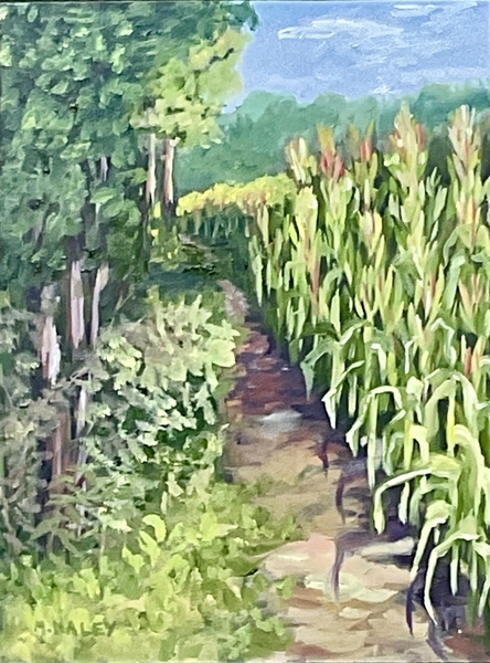 Into the Corn