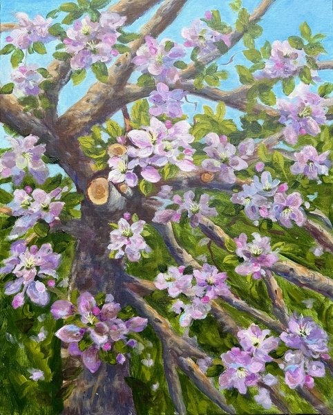 Petals and Possibilities