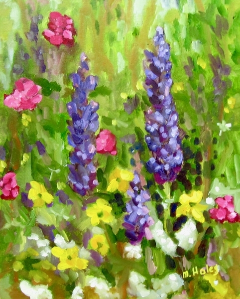 Island Lupins (framed)