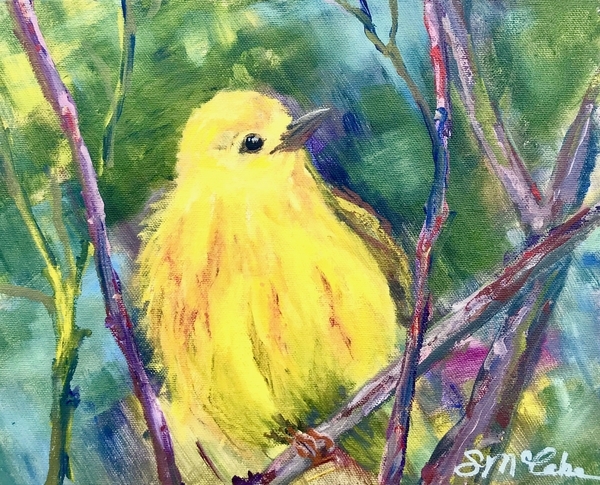 Yellow Warbler