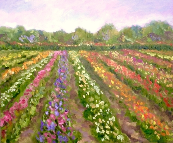 Field of Flowers