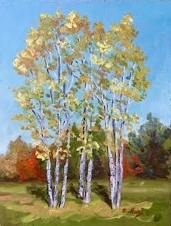 Birches